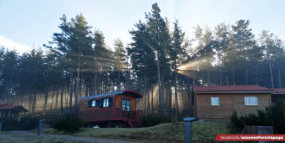 Les Chalets Du Haut-Forez Usson-en-Forez ภายนอก รูปภาพ