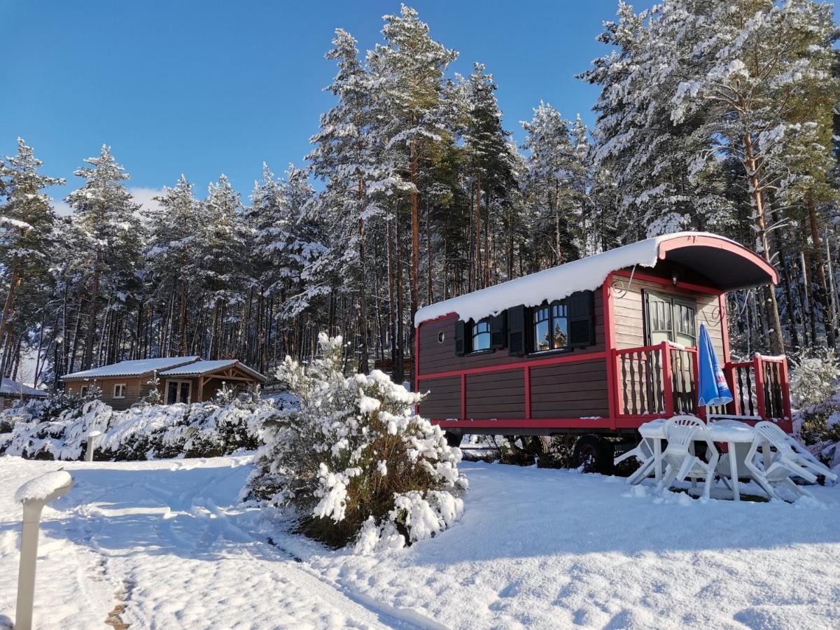 Les Chalets Du Haut-Forez Usson-en-Forez ภายนอก รูปภาพ