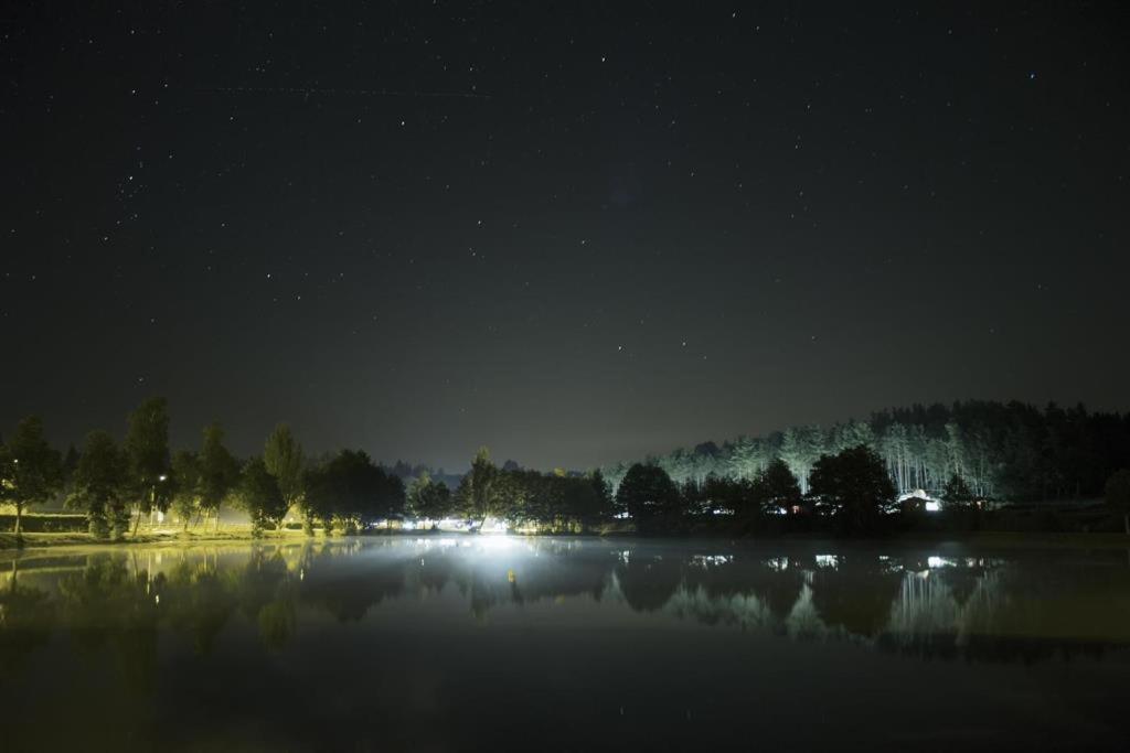 Les Chalets Du Haut-Forez Usson-en-Forez ภายนอก รูปภาพ