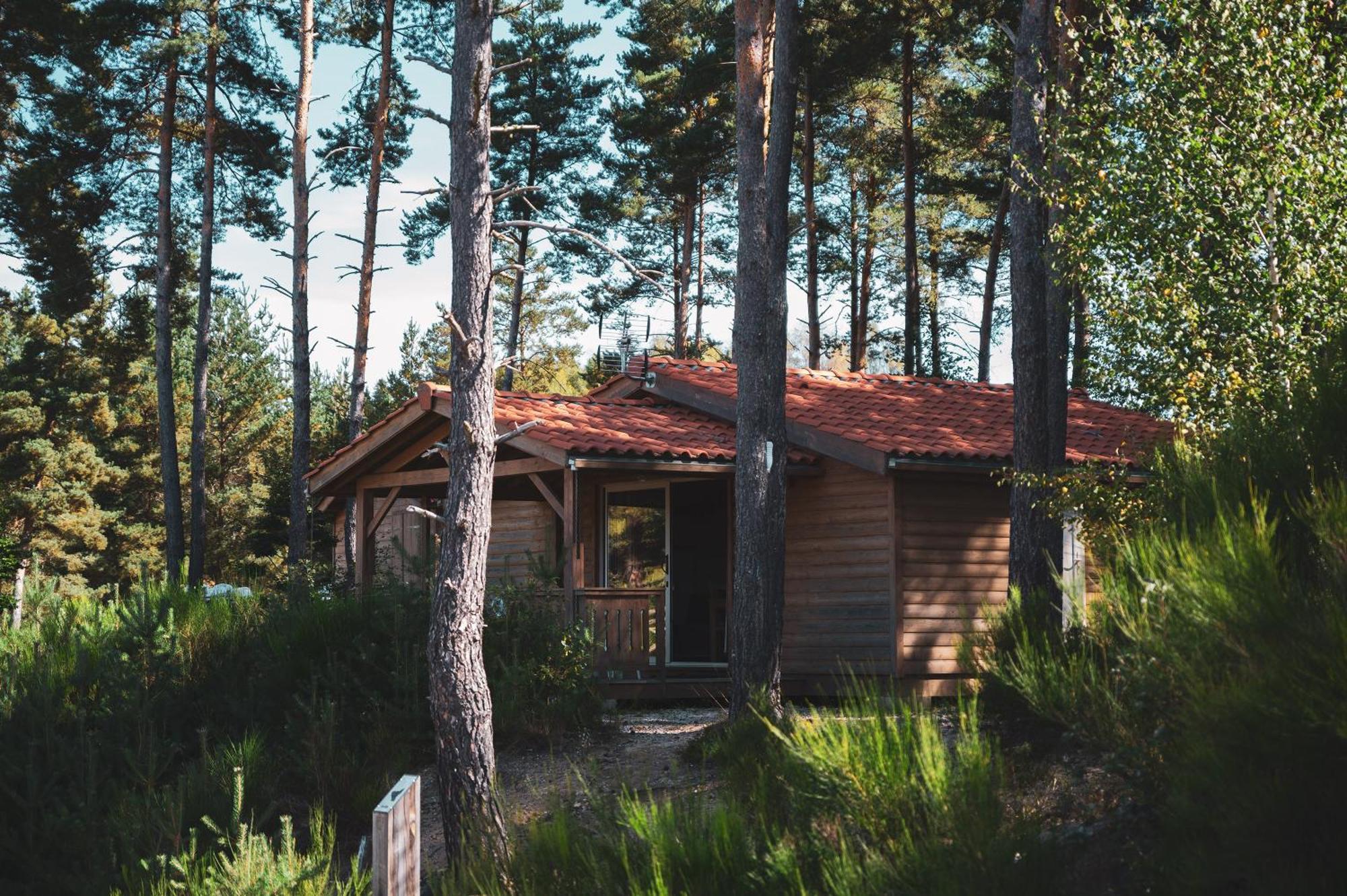 Les Chalets Du Haut-Forez Usson-en-Forez ภายนอก รูปภาพ