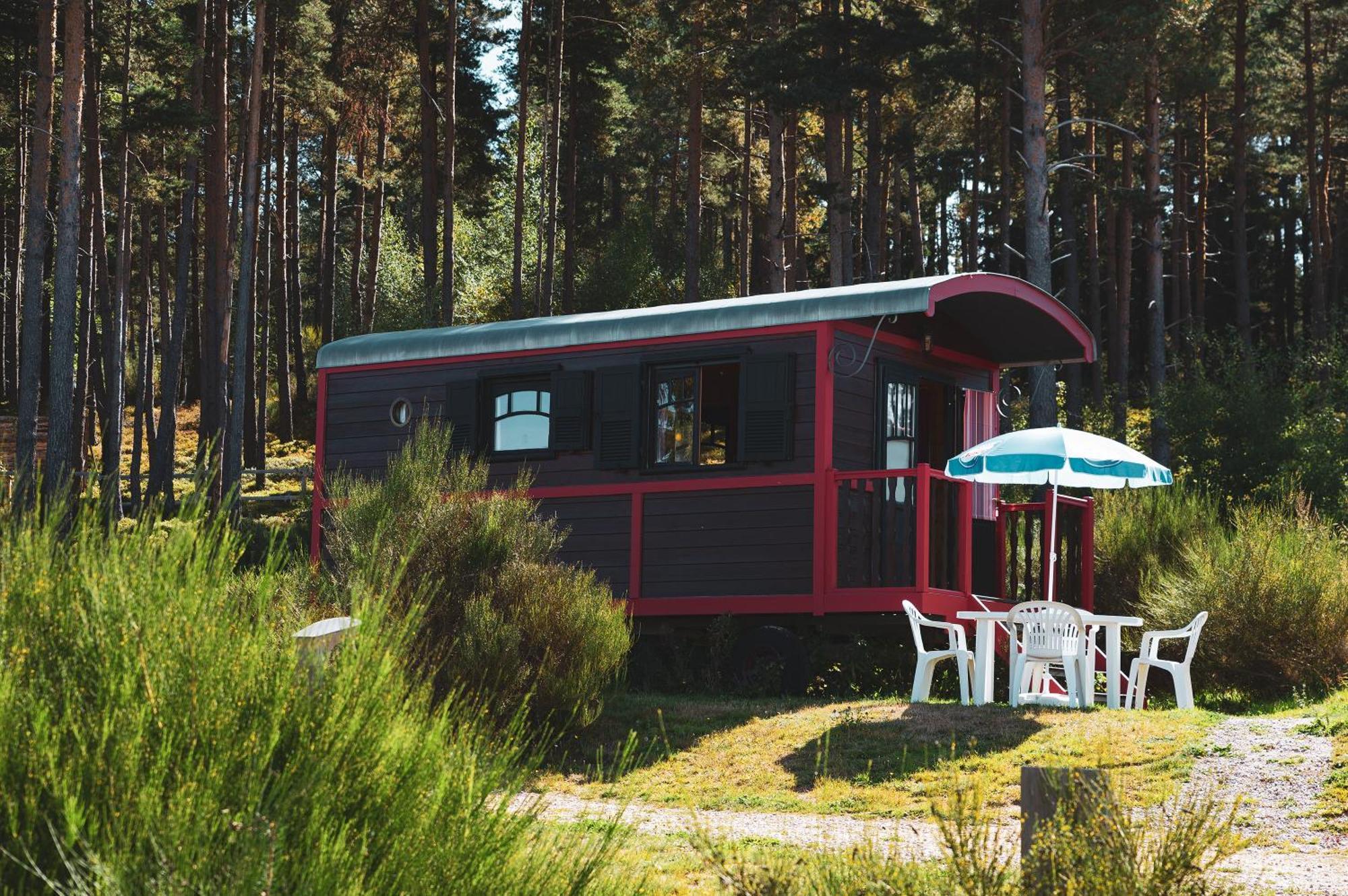 Les Chalets Du Haut-Forez Usson-en-Forez ภายนอก รูปภาพ