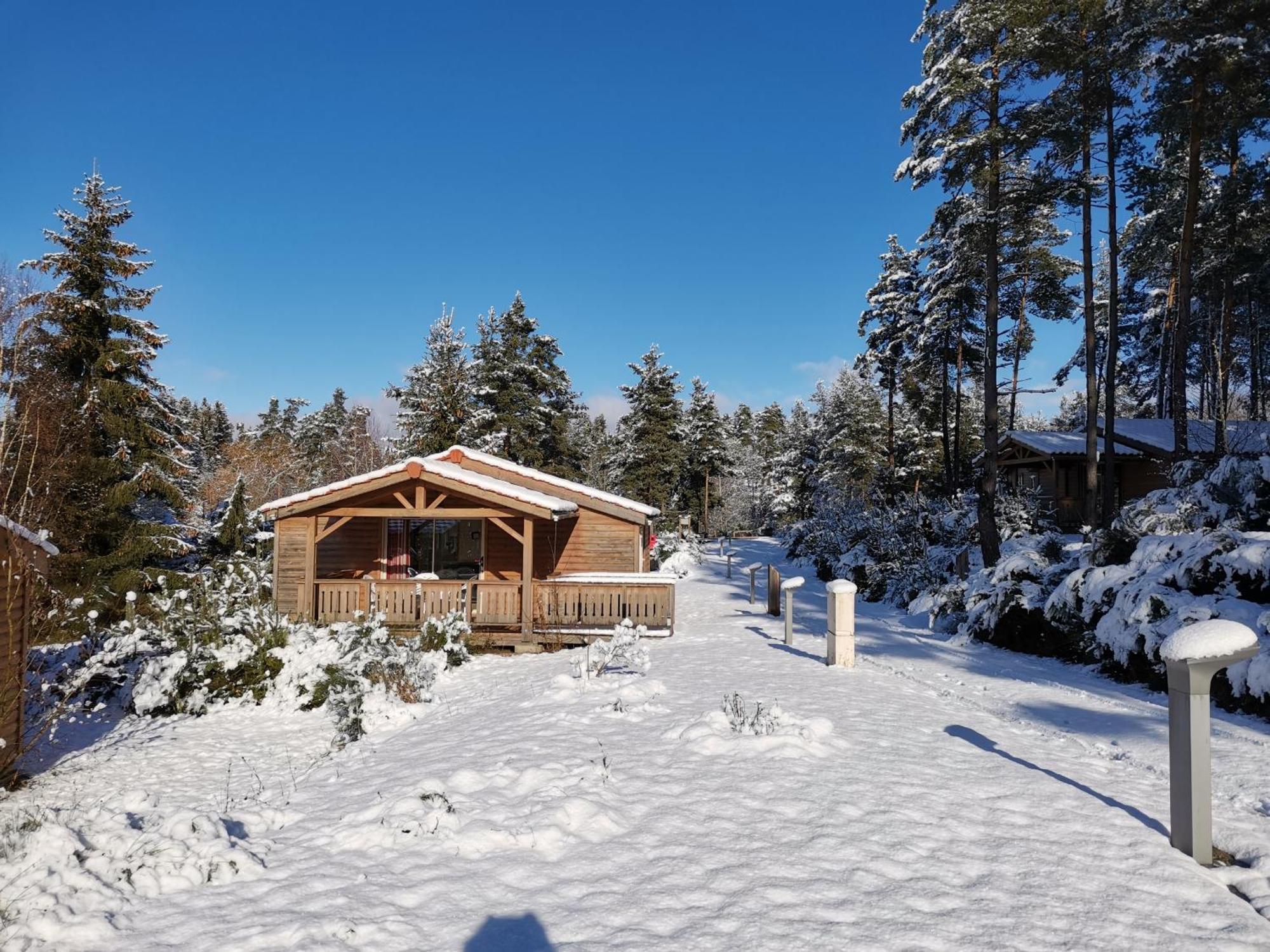 Les Chalets Du Haut-Forez Usson-en-Forez ห้อง รูปภาพ